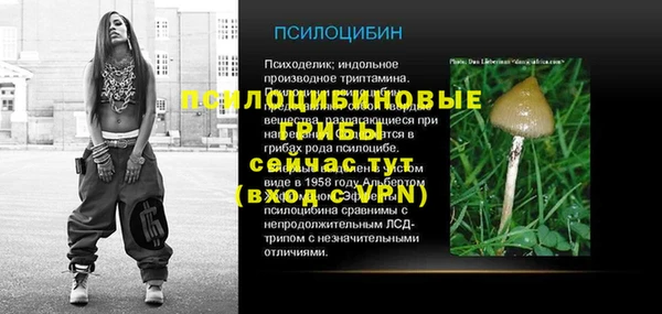 скорость mdpv Богородицк