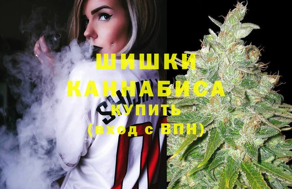 ГАЛЛЮЦИНОГЕННЫЕ ГРИБЫ Беломорск